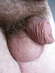 Tiny Cock 786533