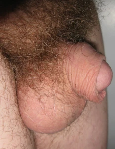 Tiny Cock 786534