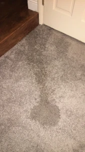 Carpet piss