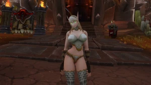 My Blood Elf Wankrags 1898032