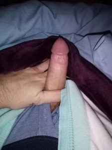 My cock 2048375