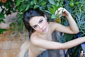 Suicide Girls - Skullo 2230664