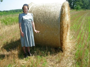 Ginger Amish