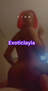 TS Exotic Layla | Exotic LayLay 2331141