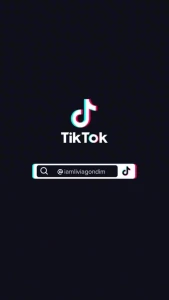 TikTok Thots Pt. 11 2511312