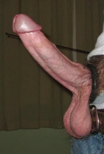 Big white cock hard 2567274