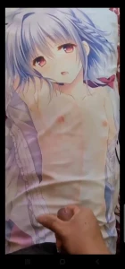 asuka　minato　dakimakura　bukkake 2823689