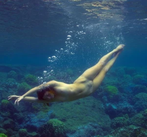 Underwater Nudes 2919466