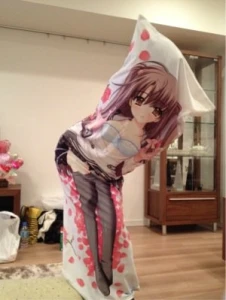 Girls inside Dakimakura 3020992