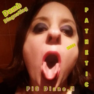 French Owned Pig Diane.H 3147485