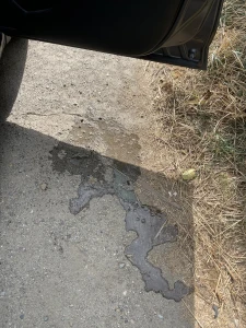 Roadtrip Puddle