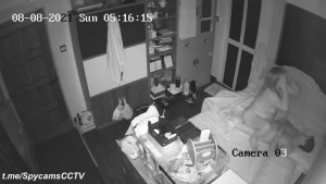 IP Camera Pictures 1 3208971