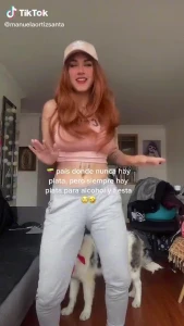 Tik Tok | manuelaortizsanta 3279663