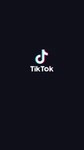 Tiktoks 3297063