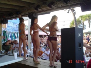 coconuts on the beach bikini contest 3390060