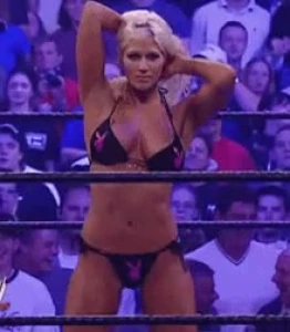 Torrie Wilson 3478612