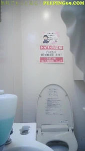 toilet spycam