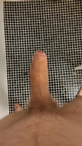 My hard cock🤩 3555356