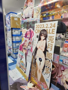 figures and akiba photos~