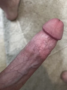 Pumas hard cock 3764024