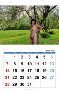 My Web Slut Calendars for 2023 3783346