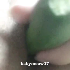 BabyMeow 3821583