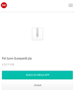 Fey Lin 3909697