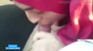 Muslim Blowjob 2 vids