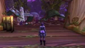 My night elf goddess in sexy lingerie &lt;3 3952593