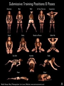 Submissive positions &amp; poses training 4029022