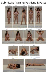 Submissive positions &amp; poses training 4029024