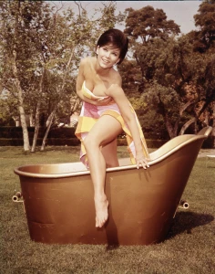 Yvonne Craig - Batgirl 4053549