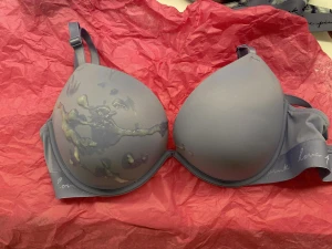 Stepmom bra and panties 4079729