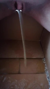 Cardboard box pee