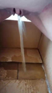 Second cardboard box pee