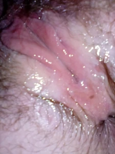 Hairy pussy webslut 4206468