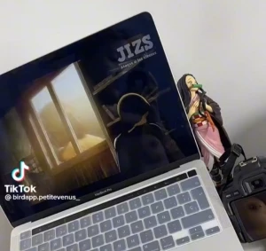 TikTok gotta chill pt.:1 4245094