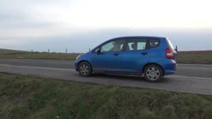 Peeing By The Car